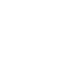 Logo Lead You